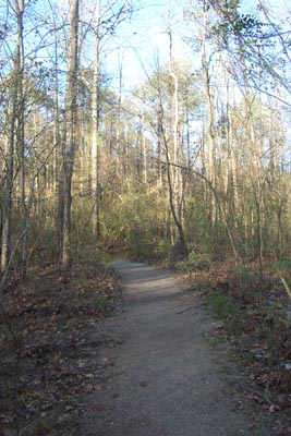 Dancy Bottom trail