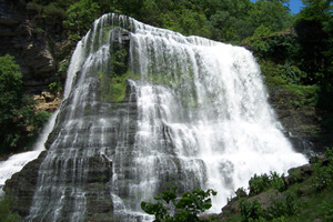 Picture of Burgess Falls