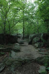 A picture of the trail