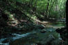 View of Rose River Trail