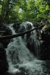 Rose River Waterfall